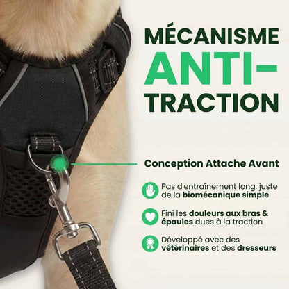 HARNAIS ANTI-TRACTION REXO™